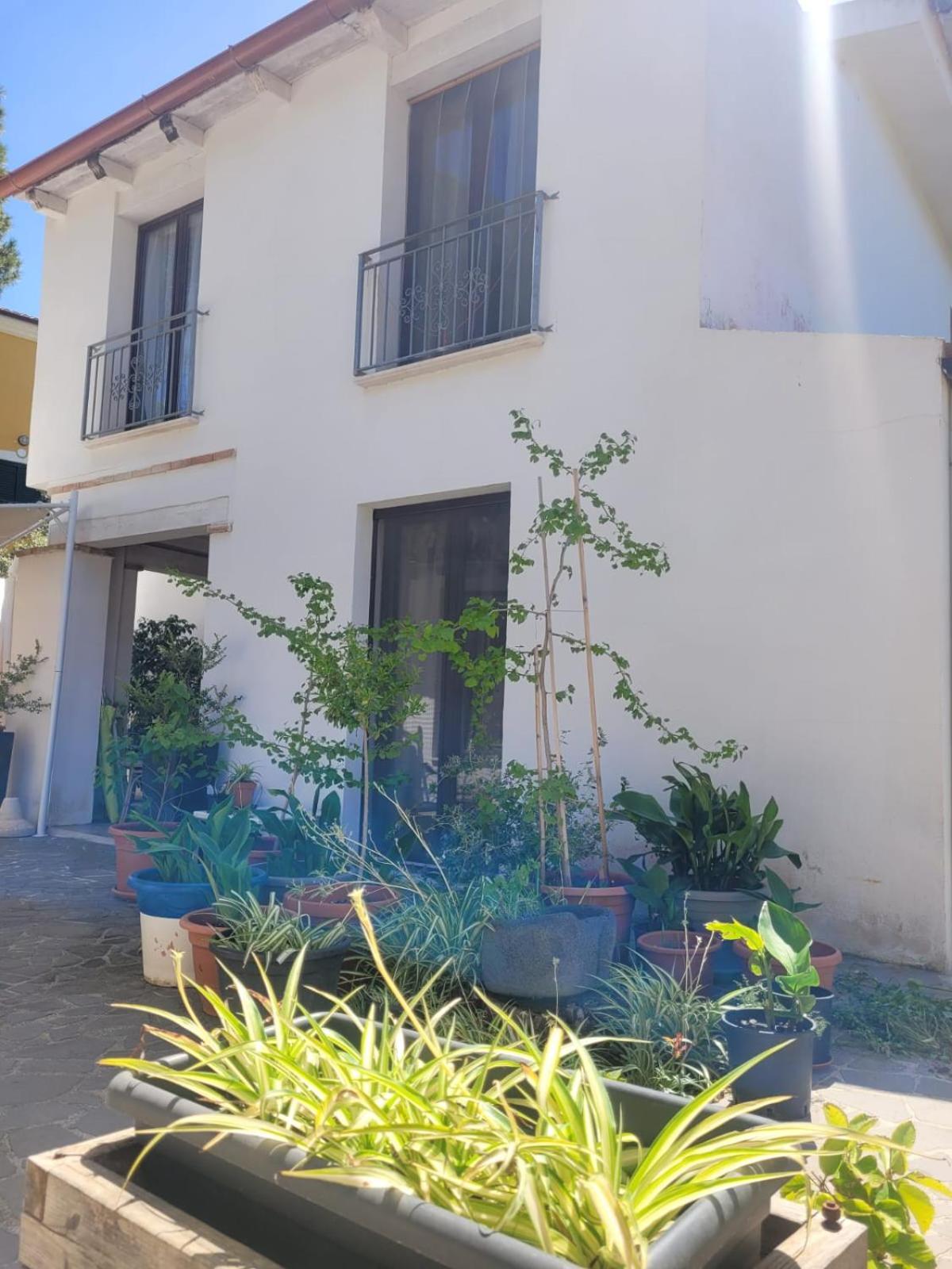 Villa La Conchiglia Rooms Cala Liberotto Exterior foto